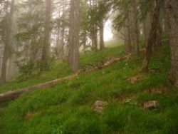 2013-06-22_Hirschhoerndl_Jochberg (082).JPG